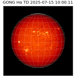 gong - 2025-07-15T10:00:11