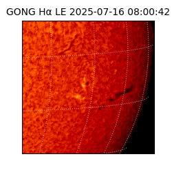gong - 2025-07-16T08:00:42
