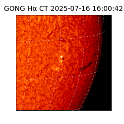 gong - 2025-07-16T16:00:42
