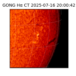 gong - 2025-07-16T20:00:42