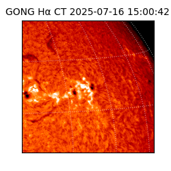 gong - 2025-07-16T15:00:42