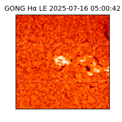 gong - 2025-07-16T05:00:42