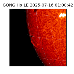 gong - 2025-07-16T01:00:42
