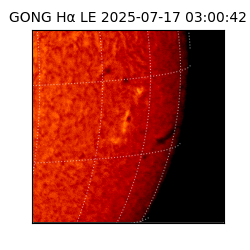 gong - 2025-07-17T03:00:42