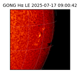 gong - 2025-07-17T09:00:42