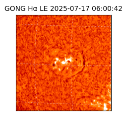 gong - 2025-07-17T06:00:42