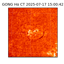 gong - 2025-07-17T15:00:42