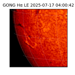 gong - 2025-07-17T04:00:42