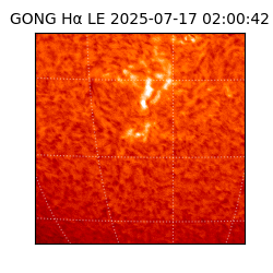 gong - 2025-07-17T02:00:42