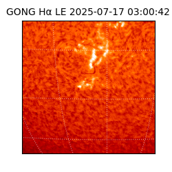 gong - 2025-07-17T03:00:42