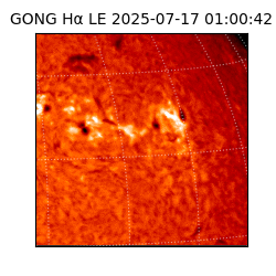 gong - 2025-07-17T01:00:42