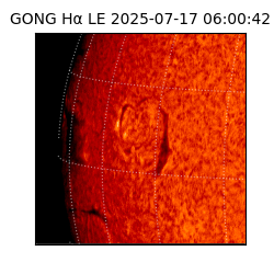 gong - 2025-07-17T06:00:42