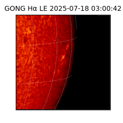 gong - 2025-07-18T03:00:42