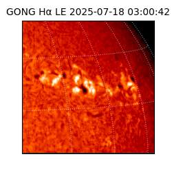 gong - 2025-07-18T03:00:42