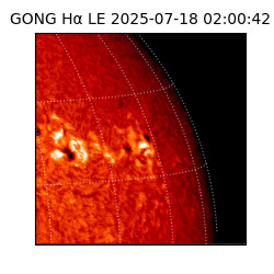 gong - 2025-07-18T02:00:42