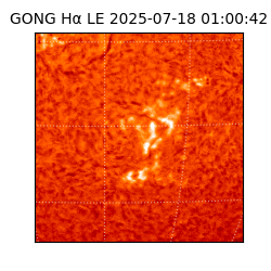 gong - 2025-07-18T01:00:42