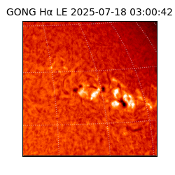 gong - 2025-07-18T03:00:42