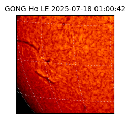 gong - 2025-07-18T01:00:42