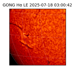 gong - 2025-07-18T03:00:42