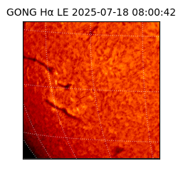 gong - 2025-07-18T08:00:42