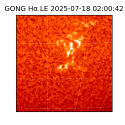 gong - 2025-07-18T02:00:42