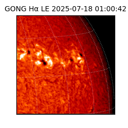 gong - 2025-07-18T01:00:42
