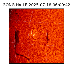 gong - 2025-07-18T06:00:42