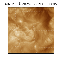 saia - 2025-07-19T09:00:05.476000