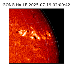gong - 2025-07-19T02:00:42