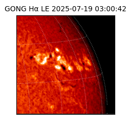 gong - 2025-07-19T03:00:42