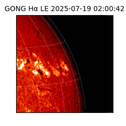 gong - 2025-07-19T02:00:42