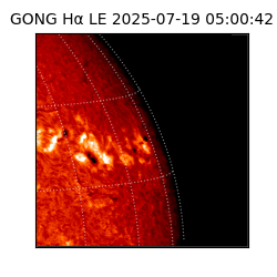 gong - 2025-07-19T05:00:42
