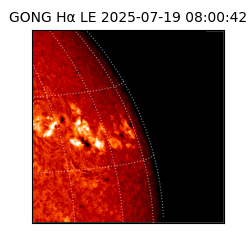 gong - 2025-07-19T08:00:42