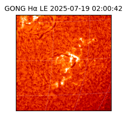 gong - 2025-07-19T02:00:42