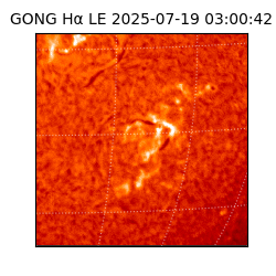 gong - 2025-07-19T03:00:42