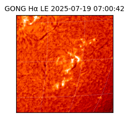 gong - 2025-07-19T07:00:42