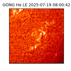 gong - 2025-07-19T08:00:42