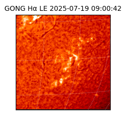 gong - 2025-07-19T09:00:42