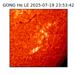 gong - 2025-07-19T23:53:42