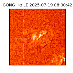 gong - 2025-07-19T08:00:42