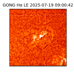 gong - 2025-07-19T09:00:42