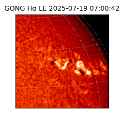 gong - 2025-07-19T07:00:42