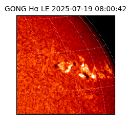 gong - 2025-07-19T08:00:42