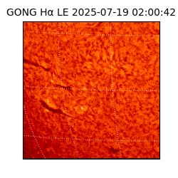 gong - 2025-07-19T02:00:42