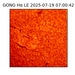 gong - 2025-07-19T07:00:42