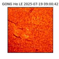 gong - 2025-07-19T09:00:42