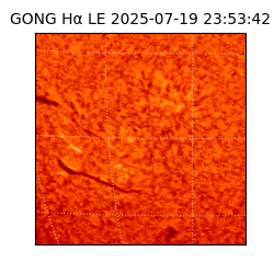 gong - 2025-07-19T23:53:42