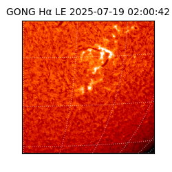 gong - 2025-07-19T02:00:42