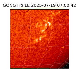 gong - 2025-07-19T07:00:42