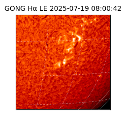 gong - 2025-07-19T08:00:42